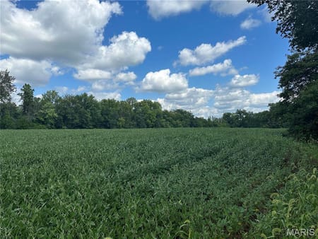Troy, MO 63379 Lincoln County