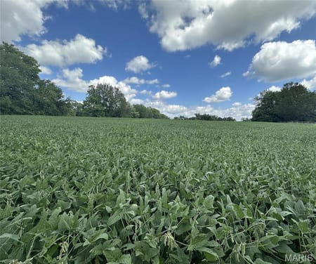 Troy, MO 63379 Lincoln County