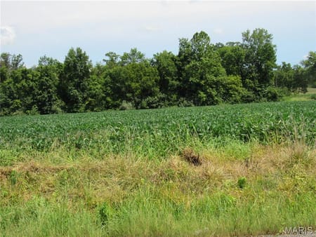 Alton, IL 62002 Madison County
