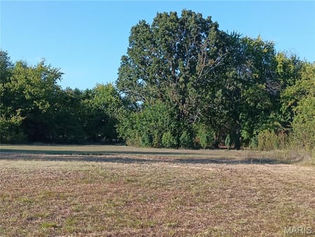 Neosho, MO 64850 Newton County