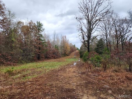 Grandin, MO 63943 Carter County