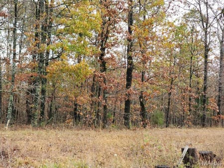 Grandin, MO 63943 Carter County