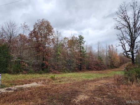 Grandin, MO 63943 Carter County