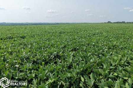 Redding, IA 50835 Ringgold County