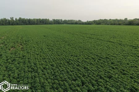 Redding, IA 50860 Ringgold County