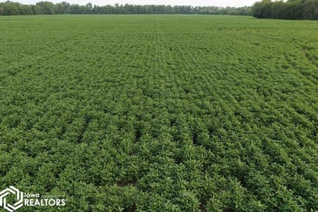 Redding, IA 50860 Ringgold County