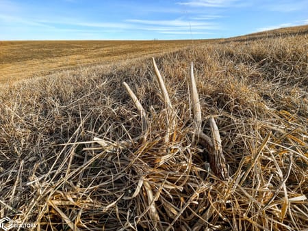 Mount Ayr, IA 50854 Ringgold County