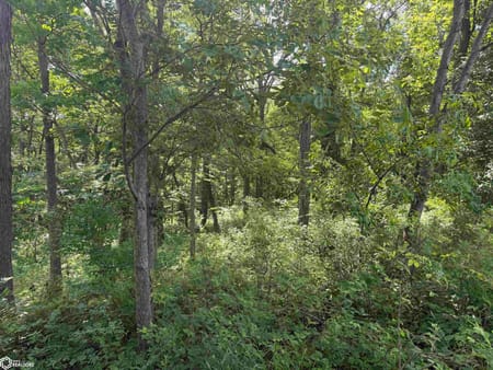 Fairfield, IA 52556 Jefferson County
