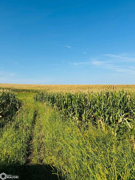 Mount Ayr, IA 50860 Ringgold County