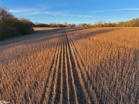Norwalk, IA 50125 Warren County
