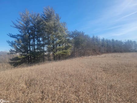 Ellston, IA 50074 Ringgold County