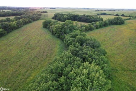 Hedrick, IA 52563 Wapello County