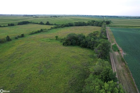 Hedrick, IA 52563 Wapello County