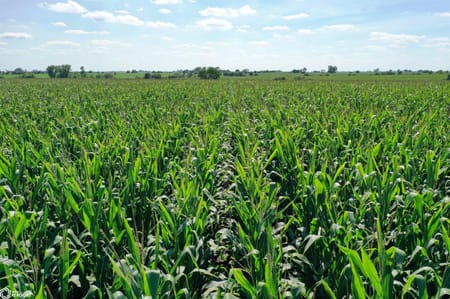 Weldon, IA 50264 Clarke County