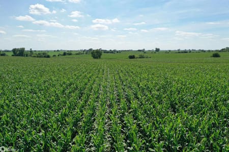Weldon, IA 50264 Clarke County