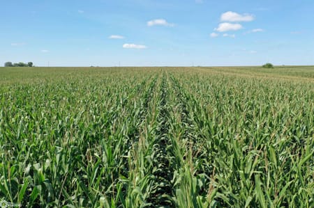 Weldon, IA 50264 Clarke County