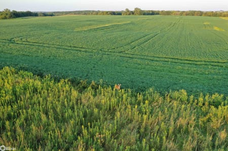 Blakesburg, IA 52536 Wapello County