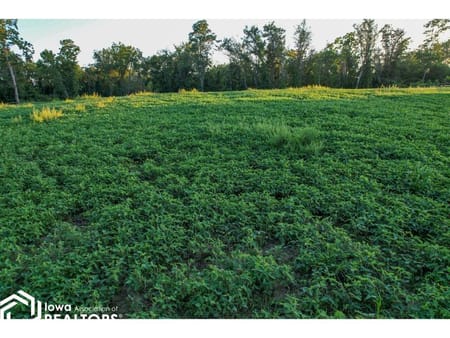 Ottumwa, IA 52501 Wapello County