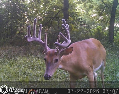 Davis City, IA 50065 Decatur County