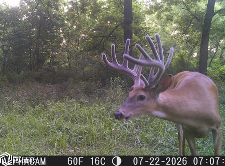 Davis City, IA 50065 Decatur County