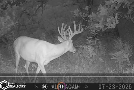 Davis City, IA 50065 Decatur County