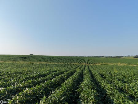 Murray, IA 50174 Clarke County