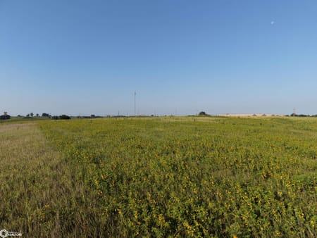 Murray, IA 50174 Clarke County