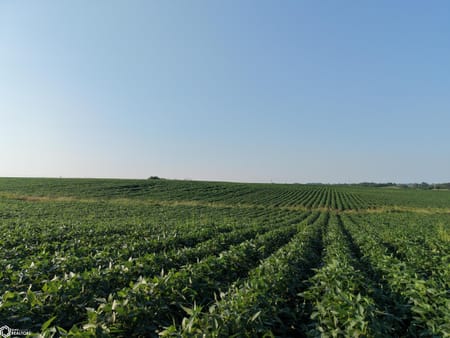 Murray, IA 50174 Clarke County