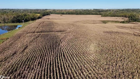 Mount Ayr, IA 50854 Ringgold County