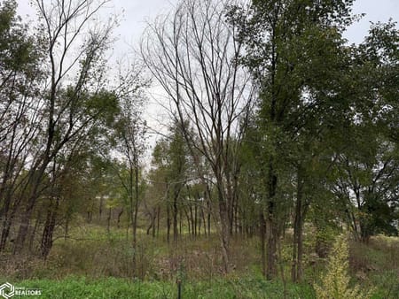 Osceola, IA 50213 Clarke County