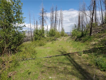 Riverside, WA 98849 Okanogan County