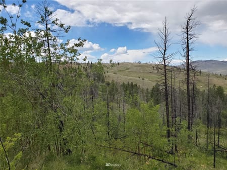 Riverside, WA 98849 Okanogan County
