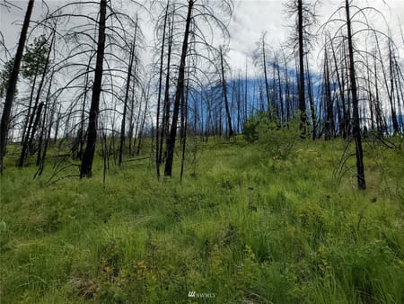 Riverside, WA 98849 Okanogan County