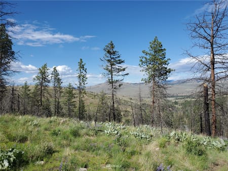 Riverside, WA 98849 Okanogan County