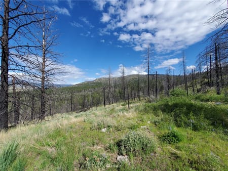 Riverside, WA 98849 Okanogan County