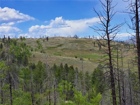 Riverside, WA 98849 Okanogan County
