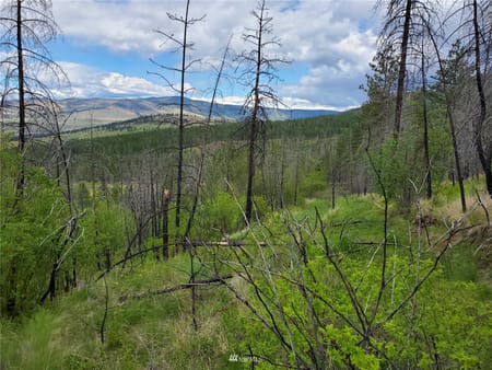 Riverside, WA 98849 Okanogan County
