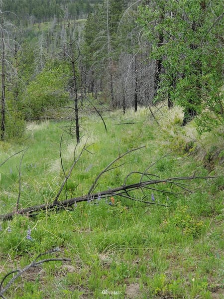 Riverside, WA 98849 Okanogan County