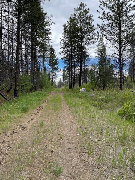 Riverside, WA 98849 Okanogan County