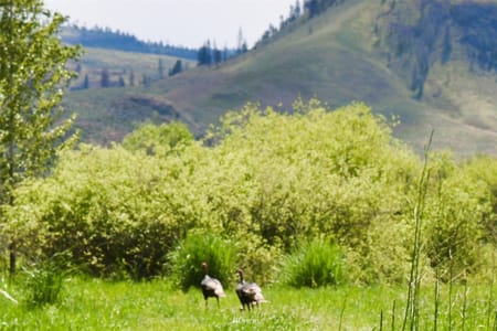 Oroville, WA 98844 Okanogan County