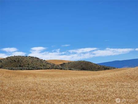 East Wenatchee, WA 98802 Douglas County