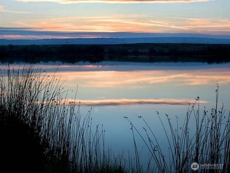 Quincy, WA 98848 Grant County