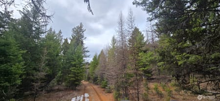 Oroville, WA 98844 Okanogan County