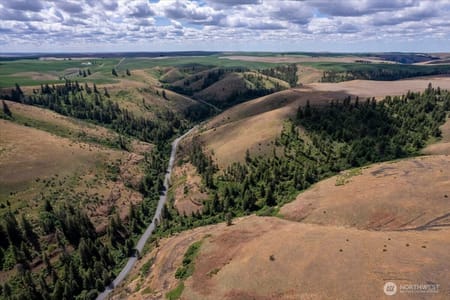 Wilbur, WA 99185 Lincoln County
