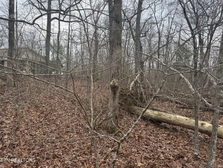 Crossville, TN 38572 Cumberland County