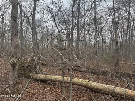 Crossville, TN 38572 Cumberland County