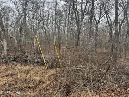 Crossville, TN 38572 Cumberland County