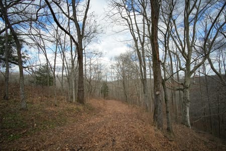 Charlotte, TN 37036 Dickson County