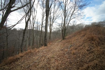 Charlotte, TN 37036 Dickson County