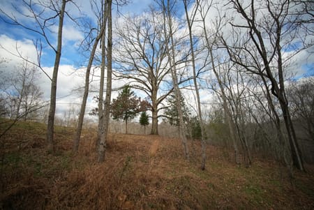 Charlotte, TN 37036 Dickson County